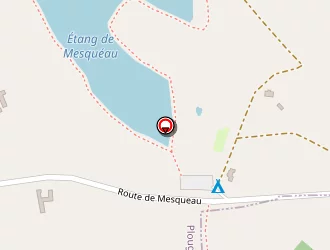 Carte de Linguinou Mickael à Saint-jean-du-doigt