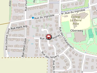 Carte de Advicis à Vendenheim