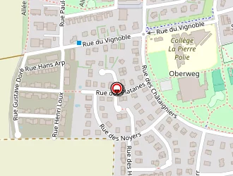 Carte de Ambulance Vitale à Vendenheim