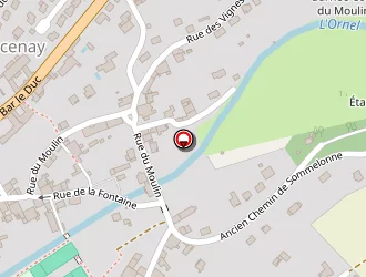 Carte de Bailly Cédric à Chancenay