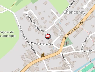 Carte de Michel Joëlle à Chancenay