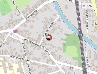 Carte de Fleurs Dany Flora à Vendenheim