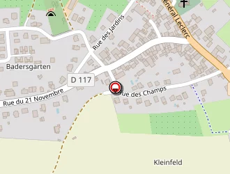 Carte de Taxi Manu à Singrist