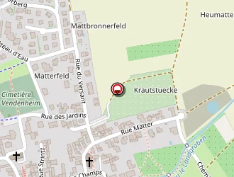 Carte de Riedinger-balzer à Vendenheim