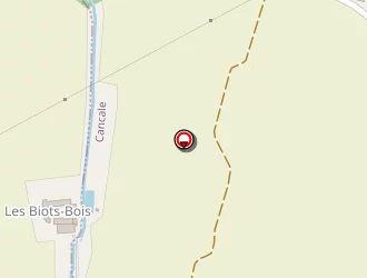 Carte de Gaudin Dupas à Saint-coulomb