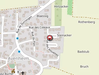 Carte de Huntziger Laurence à Schnersheim