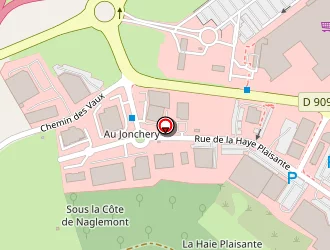 Carte de Speedy Ecauto à Dommartin-lès-toul