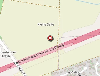 Carte de Elsass Florian à Vendenheim