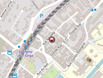 Carte de Domium à Savigny-sur-orge