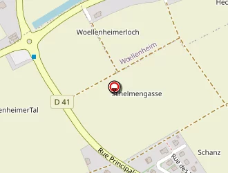 Carte de Leibel Alain à Willgottheim