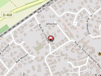 Carte de Schaeffer Serge à Kilstett