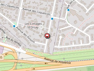 Carte de Jumeau Patrick à Orsay