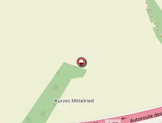 Carte de Cadima à Hœrdt