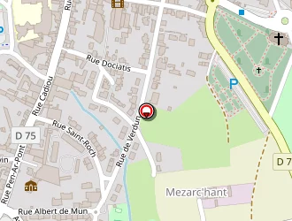 Carte de Meneur Stéphane à Saint-pol-de-léon