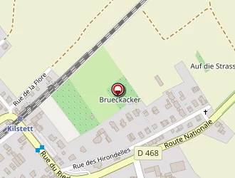 Carte de Gasser Daniel à Kilstett