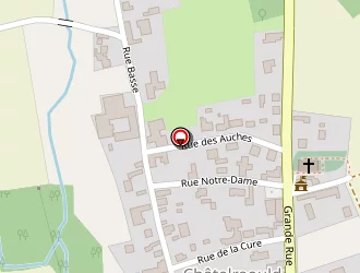 Carte de Anthony Noël à Châtelraould-saint-louvent