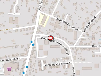 Carte de Pdr Artisanal à Draveil