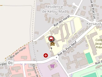 Carte de Netto à Saint-pol-de-léon