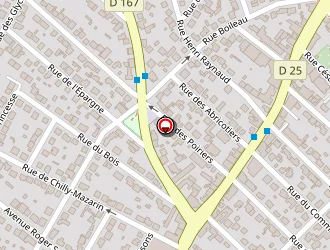 Carte de Cinéma Excelsior à Savigny-sur-orge