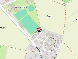 Carte de Madame Schott Anny à Berstett