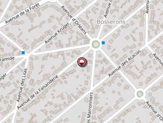 Carte de Leveque Serge à Brunoy