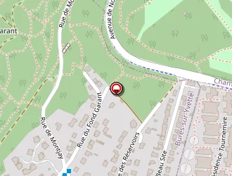 Carte de Tesler Olivia à Ulis (les)