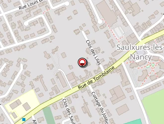 Carte de Zen Micro à Saulxures-lès-nancy