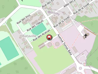 Carte de Ecothermie 25g à Moussey