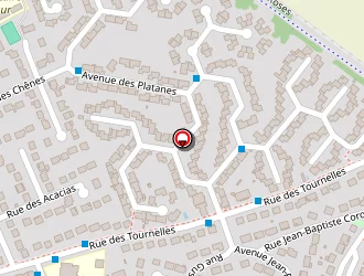 Carte de Groupe Scolaire Des Tournelles à Brie-comte-robert