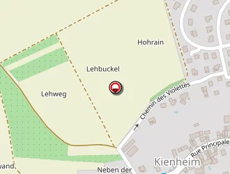 Carte de Brocker Fabienne à Kienheim