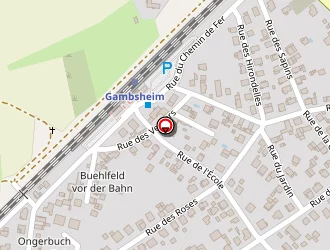 Carte de Froid Veltz à Gambsheim