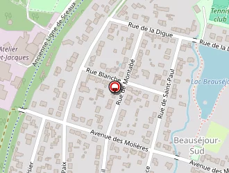 Carte de Renner Loïs à Saint-rémy-lès-chevreuse