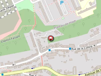 Carte de Rodier Philippe à Nancy