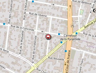 Carte de Dog Instinct à Juvisy-sur-orge