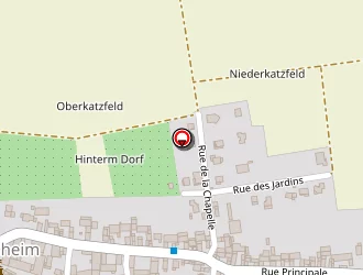 Carte de Hamm Marcel à Olwisheim