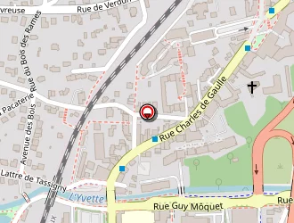 Carte de Tsukushi à Orsay