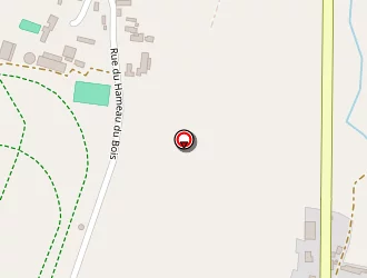 Carte de Ripaux Thierry à Almenêches