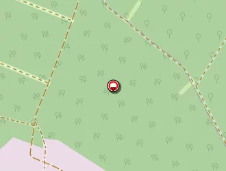 Carte de Berchet David à Toul