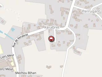 Carte de Affaires De Chiens à Santec