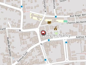 Carte de Services Adom' à Essey-lès-nancy