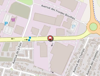 Carte de Budget à Morangis