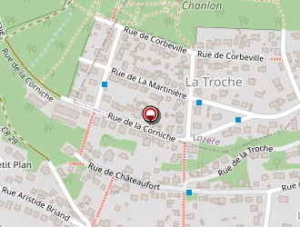 Carte de Whitaker Célina à Orsay