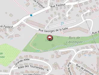 Carte de Cognasse Claude à Malzéville