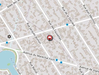 Carte de Birtig Morin Joëlle à Vigneux-sur-seine