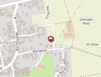 Carte de Truttmann Virginie à Saessolsheim