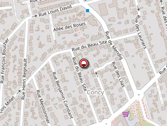 Carte de Satelex. Services à Yerres