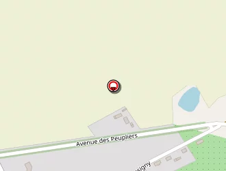 Carte de Petit Jean à Chevry-cossigny