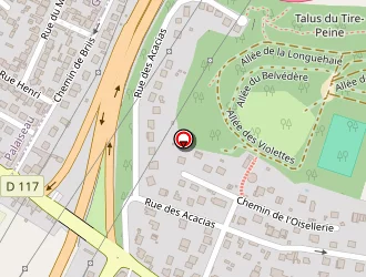 Carte de Bize Guepes à Champlan