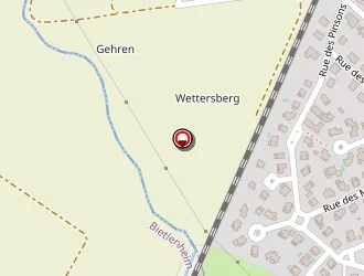 Carte de Pro-tech Ascenseurs à Weyersheim