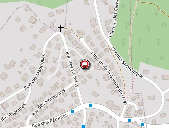 Carte de Angel Assistance à Saint-max